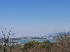 -香雪海