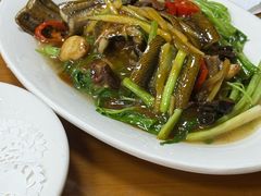 -肥弟大排档(汕樟路店)