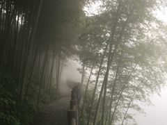 -维尼亚KTV(郴州店)