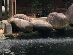景观位-湖鲜楼