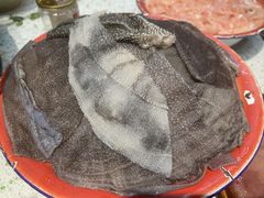 屠场鲜毛肚-龙厂长老火锅(抚琴店)