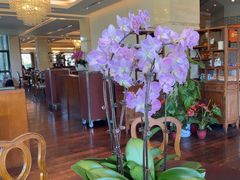 -浙江西子宾馆·瑶园咖啡厅