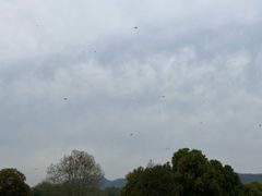 -钟山体育运动公园