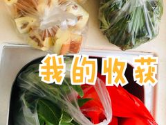 -沥滘村农贸市场