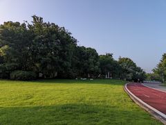 -瑶湖郊野森林公园