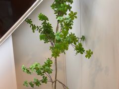 -素禅棋牌会所(海阳路店)