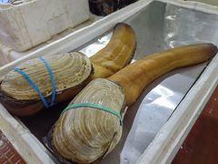 -绿雅居原生态农庄(小涌店)