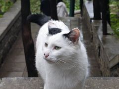 -四门塔风景区