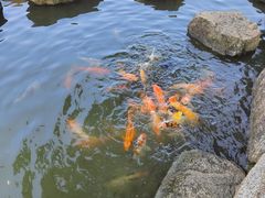 -珠海圆明新园