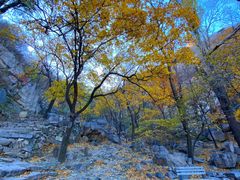 -鹫峰国家森林公园