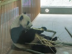 -云南野生动物园