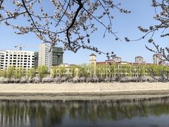 -桃花堤公园