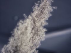 -盛邦家居建材广场