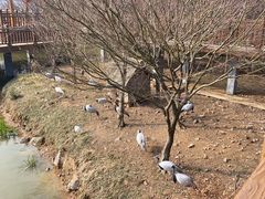 -无锡动物园·太湖欢乐园
