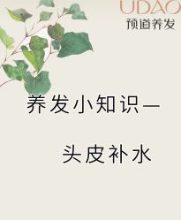 -木北造型