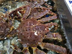 帝王蟹-盒马鲜生(顺义店)