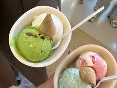 -极拉图·现制冰淇淋(大卫城店)