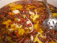 -宏宴·新京菜(望京店)