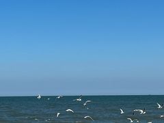 -老虎石海上公园