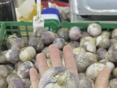 -五里多农博广场