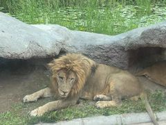 -北京野生动物园