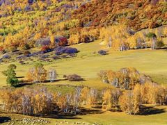 -塞罕坝国家级自然保护区