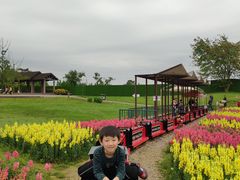 -保利石象湖景区
