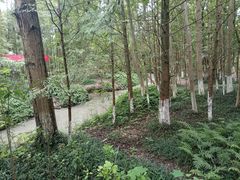 -桤木河湿地公园