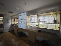 -天津大学爱尔眼科医院(天津院区)