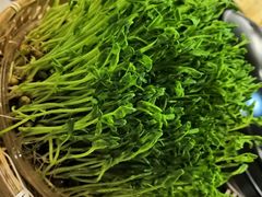 -好彩猪肚鸡(正弘城店)