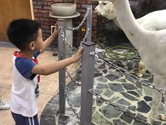 -上海大自然野生昆虫馆(东方明珠·爬宠昆虫探索中心)