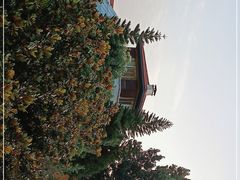 -西昌邛海宾馆
