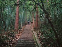 -敬亭山风景名胜区