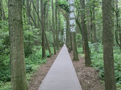 -同里国家湿地公园