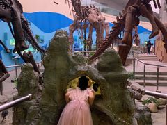 -陕西自然博物馆