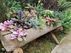 -三圣花乡旅游区