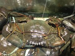 -Isla Sugbu Seafood City