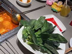 -海底捞火锅(青悦城店)