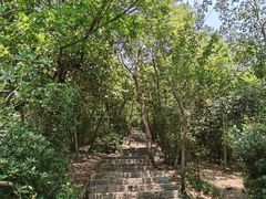 -紫金山山顶公园