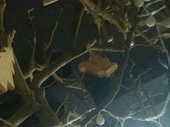 -MAX伯爵趣味互动密室逃脱(大坪D馆店)