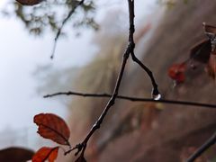 -三清山希尔顿度假酒店