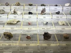 -湖南省地质博物馆