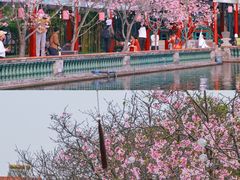 -宝墨园景区