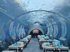 -涛·海底餐厅·美人鱼·自助餐·海底隧道(三亚海棠湾洲际度假酒店)