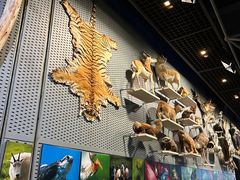 -浙江自然博物院(杭州馆)