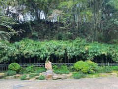 -杭州黄龙洞