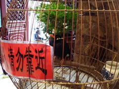 -兴盛德·麻辣花生大王·老店(中山路店)