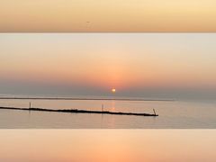 -贡湖湾湿地公园