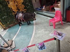 -昆明动物园