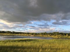 塞罕坝国家森林公园-塞罕坝国家级自然保护区